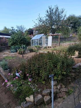 Foto - Grundst&uuml;ck in Dresden