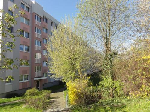 Foto - Etagenwohnung in Dresden zur Miete