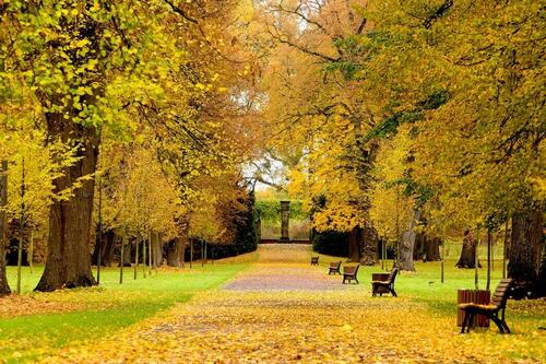 Foto - Ruhige 1R-Wohnung in Magdeburg Herrenkrug mit Balkon & Stellplatz