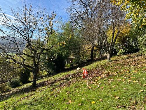 Foto - Einfamilienhaus zum Kaufen in Lörrach