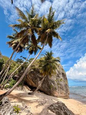 Foto - COSTA Rica Appartments mit Meerblick Strandnah langfristig zu vermieten ☎️0178