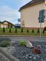 Foto - Etagenwohnung zur Miete in Kalbach
