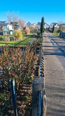 Foto - Grundst&uuml;ck in Schkeuditz zur Miete
