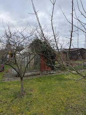 Foto - Grundst&uuml;ck zur Miete in Chemnitz