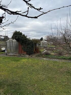 Foto - Grundst&uuml;ck in Chemnitz zur Miete