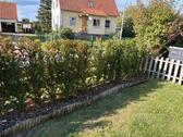 Foto - 3 Zimmer Hochparterre zum Kaufen in Beckedorf