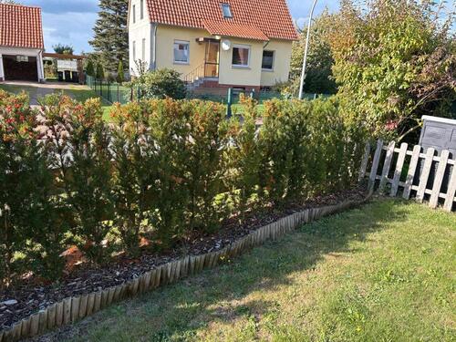Foto - 3 Zimmer Hochparterre zum Kaufen in Beckedorf