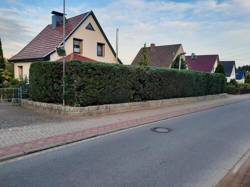 Foto - Einfamilienhaus zum Kaufen in Plate