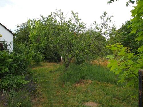 Foto - Einfamilienhaus in Müncheberg zum Kaufen