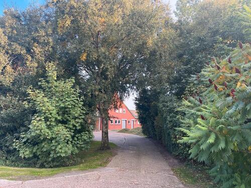 Foto - Bauernhaus, Landhaus in Krummhörn
