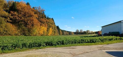 Foto - andere in Waidhofen
