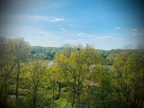 Foto - 1 Zimmer Etagenwohnung in Bremen