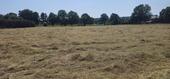 Foto - Einfamilienhaus mit 20,00 m&sup2; in Wölpinghausen zum Kaufen