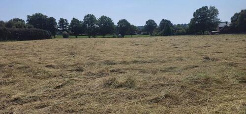 Foto - Einfamilienhaus mit 20,00 m&sup2; in Wölpinghausen zum Kaufen