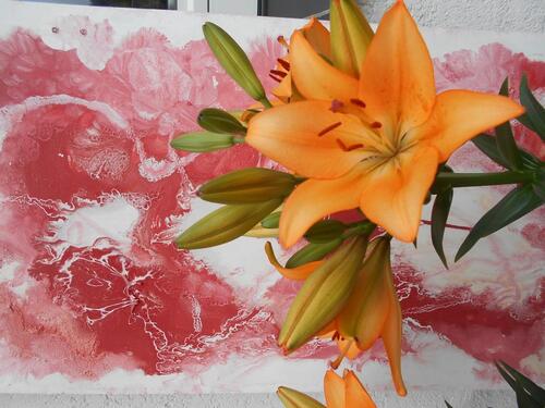 Foto - Schöne 2 Zimmer mit Balkon KÜ Bad an 1 Person zu vermieten