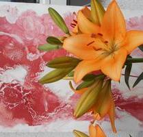 Schöne 2 Zimmer mit Balkon KÜ Bad an 1 Person zu vermieten - Osnabrück