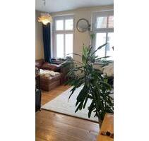 Zwischenmiete 01.12-01.04.26 **ggf. länger, Prenzlauerberg - Berlin Pankow