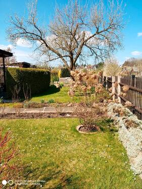 Foto - Grundst&uuml;ck zur Miete in Chemnitz