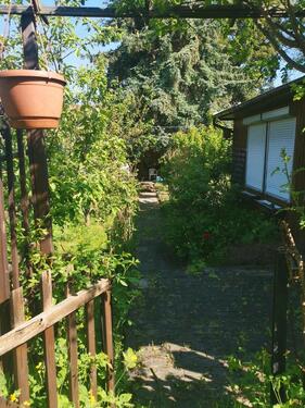 Foto - Einfamilienhaus in Blankenburg (Harz)