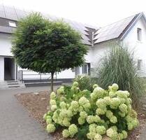 Schöne Wohnung mit großem Garten - Lage