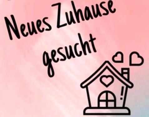 Foto - Erdgeschosswohnung oder kleines Häuschen