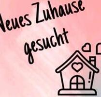 Erdgeschosswohnung oder kleines Häuschen - Waging am See Fisching