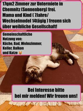 Foto - 17,75qm WG Zimmer Sonnenberg Chemnitz Gellertstraße