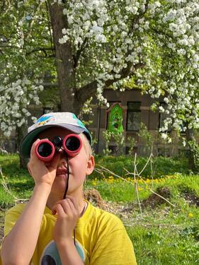 Foto - Etagenwohnung zur Miete in Chemnitz