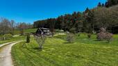 Foto - Einfamilienhaus in Alleinlage - Energie A - ehem. Mühle - 4,5 ha