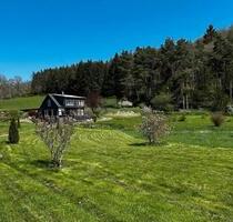 Einfamilienhaus in Alleinlage - Energie A - ehem. Mühle - 4,5 ha - Simmern/Hunsrück
