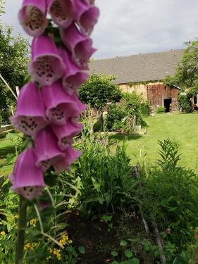 Foto - Einfamilienhaus in Krauschwitz i. d. O.L.