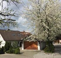 Schöne Doppelhaushälfte in Liebenau Straß - Meckenbeuren