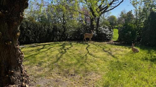 Foto - 4 Zimmer Erdgeschoßwohnung zur Miete in Uplengen