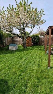 Foto - Grundst&uuml;ck zur Miete in Magdeburg