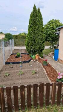 Foto - Grundst&uuml;ck in Magdeburg zur Miete