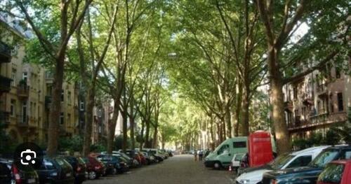 Foto - Wohnung möbliert zu vermieten in Mannheim Neckarstadt Ost