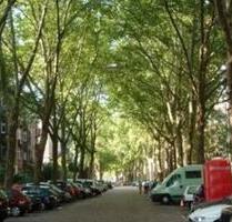 Wohnung möbliert zu vermieten in Mannheim Neckarstadt Ost - Bad Dürkheim