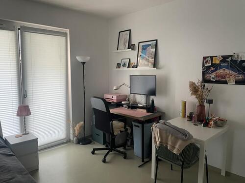 Foto - 1 Zimmer Erdgeschoßwohnung zur Miete in Potsdam