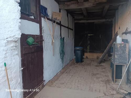 Foto - Einfamilienhaus in Berga/Elster zum Kaufen
