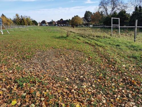 Foto - großzügiges erschlossenes Baugrundstück