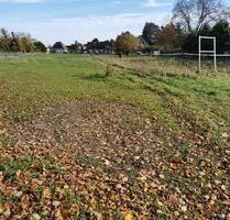 großzügiges erschlossenes Baugrundstück - Sandersdorf-Brehna Torna