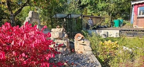 Foto - Grundst&uuml;ck zur Miete in Chemnitz