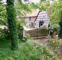 Traumhafter Resthof (~3 ha): Tierhaltung, eigener Wald, Mehrgen.. - Neuenkirchen