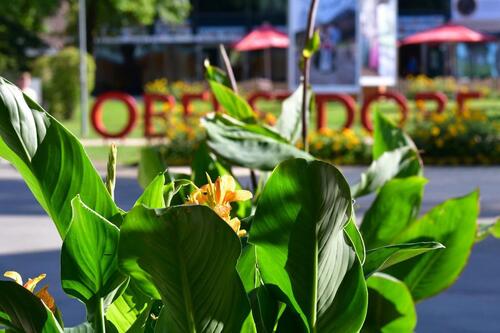 Foto - Perfekte All-Inclusive-Mietwohnung in Oberstdorf