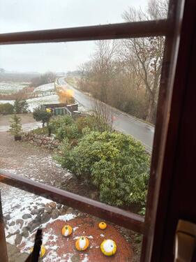 Foto - 2 Zimmer Etagenwohnung zur Miete in Garding