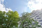 Foto - Eigentumswohnung 3 Zimmer Passau Neustift von privat Erdgeschoss
