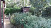 Foto - 6 Zimmer Bungalow in Coswig (Anhalt)