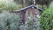 Foto - Bungalow in Coswig (Anhalt) zum Kaufen
