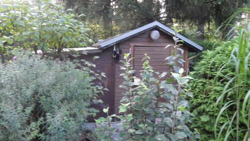 Foto - Bungalow in Coswig (Anhalt) zum Kaufen