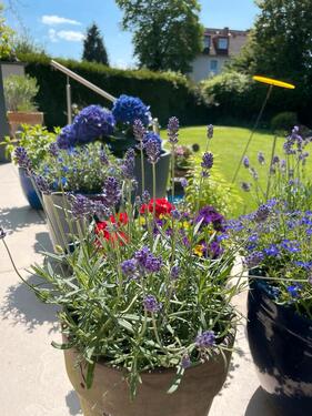 Foto - Einfamilienhaus in Bönen